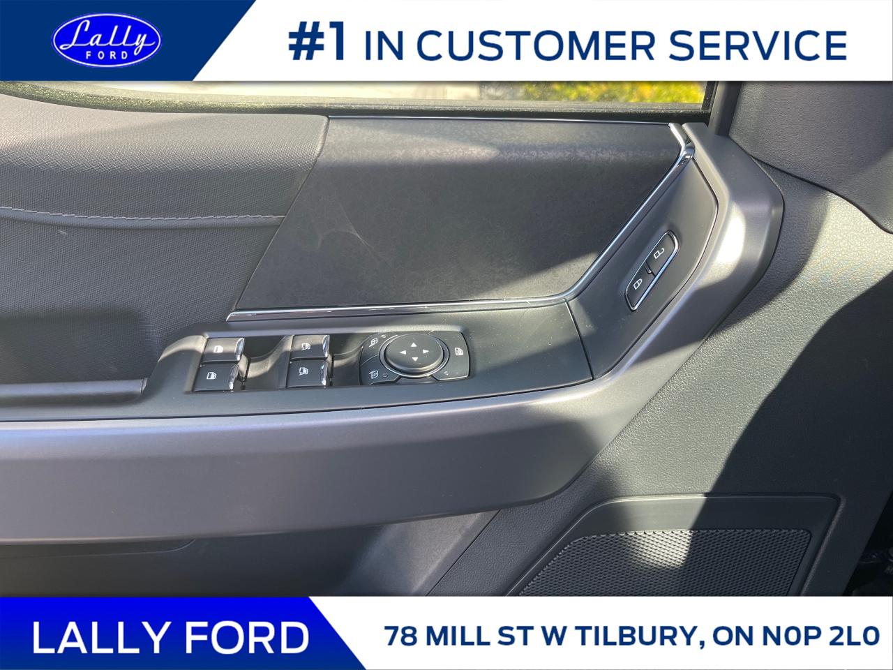 2025 Ford F-150 XLT Photo