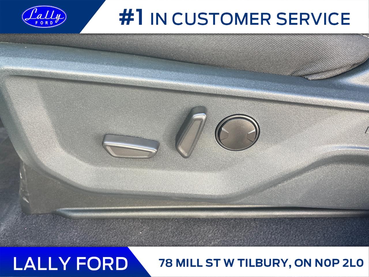 2025 Ford F-150 XLT Photo