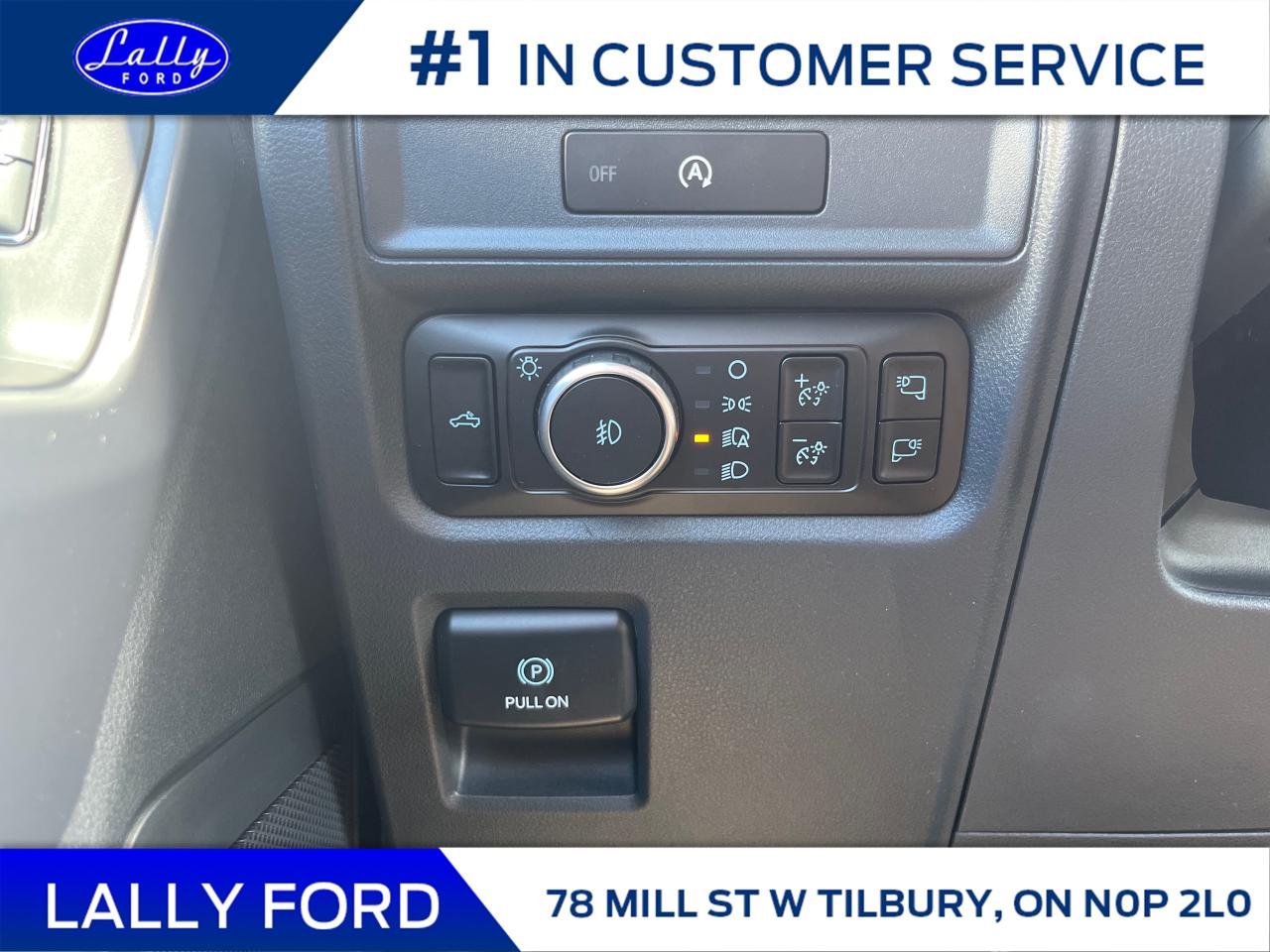 2025 Ford F-150 XLT Photo