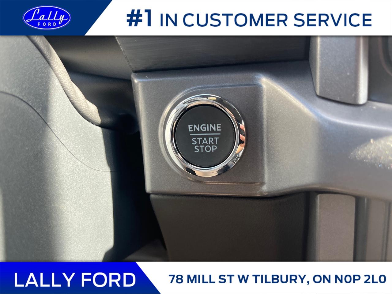 2025 Ford F-150 XLT Photo