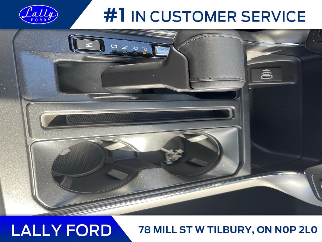 2025 Ford F-150 XLT Photo