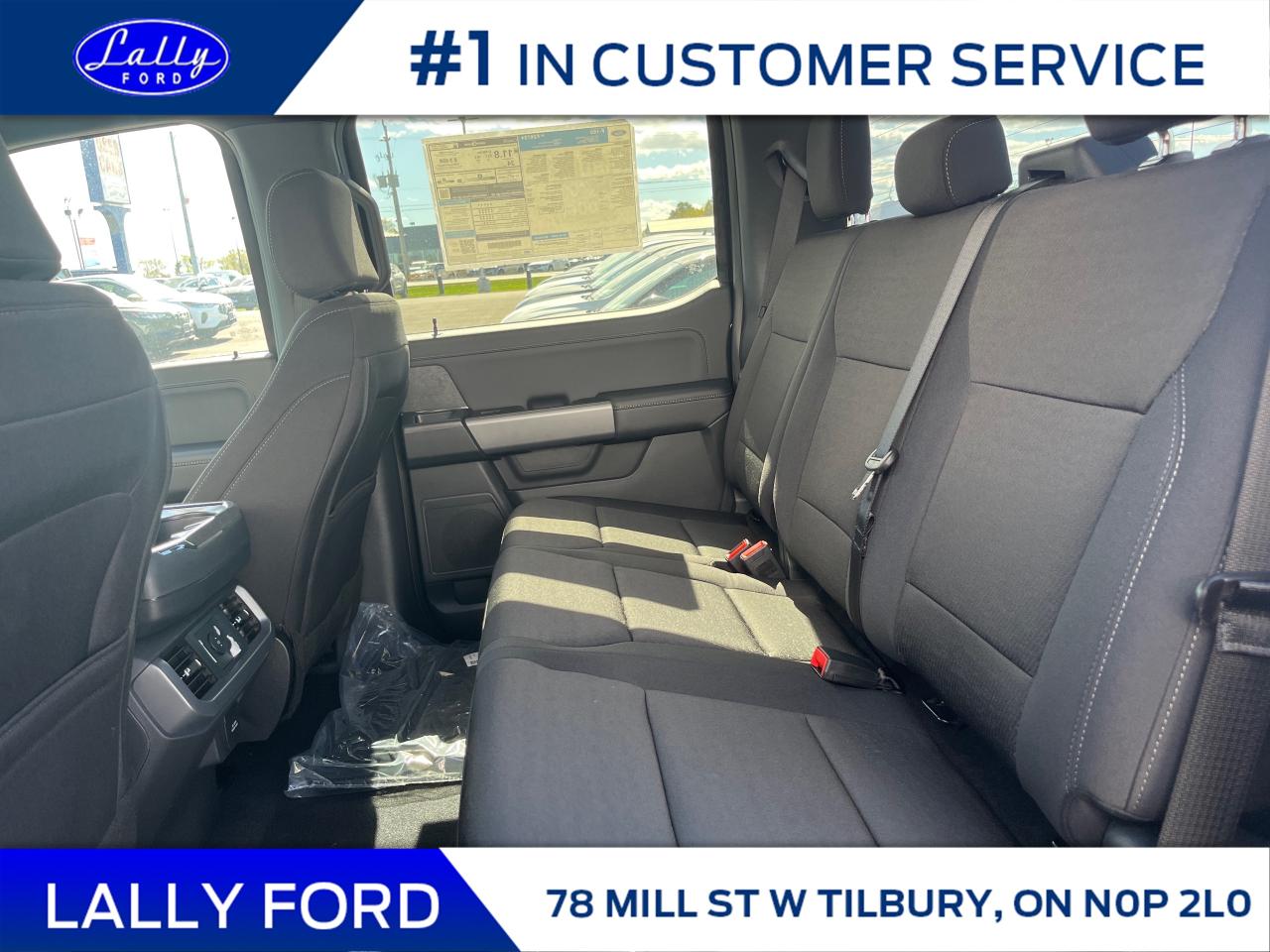 2025 Ford F-150 XLT Photo