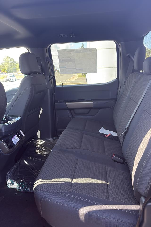 2025 Ford F-150 STX® Photo5