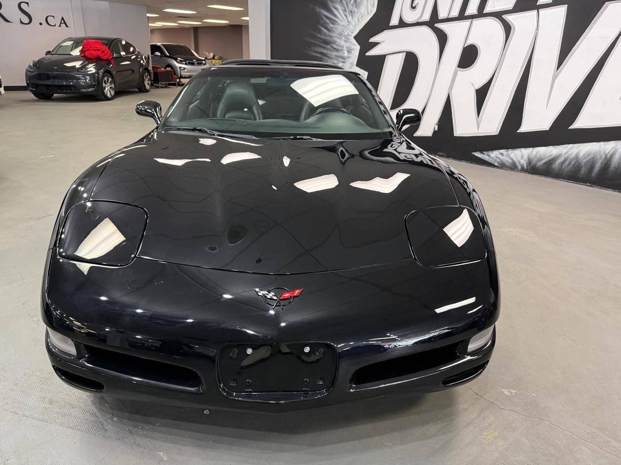 1998 Chevrolet Corvette 2dr Cpe Photo