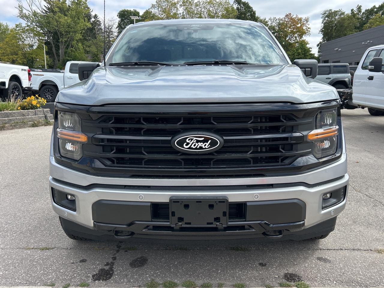 2025 Ford F-150 XLT Photo