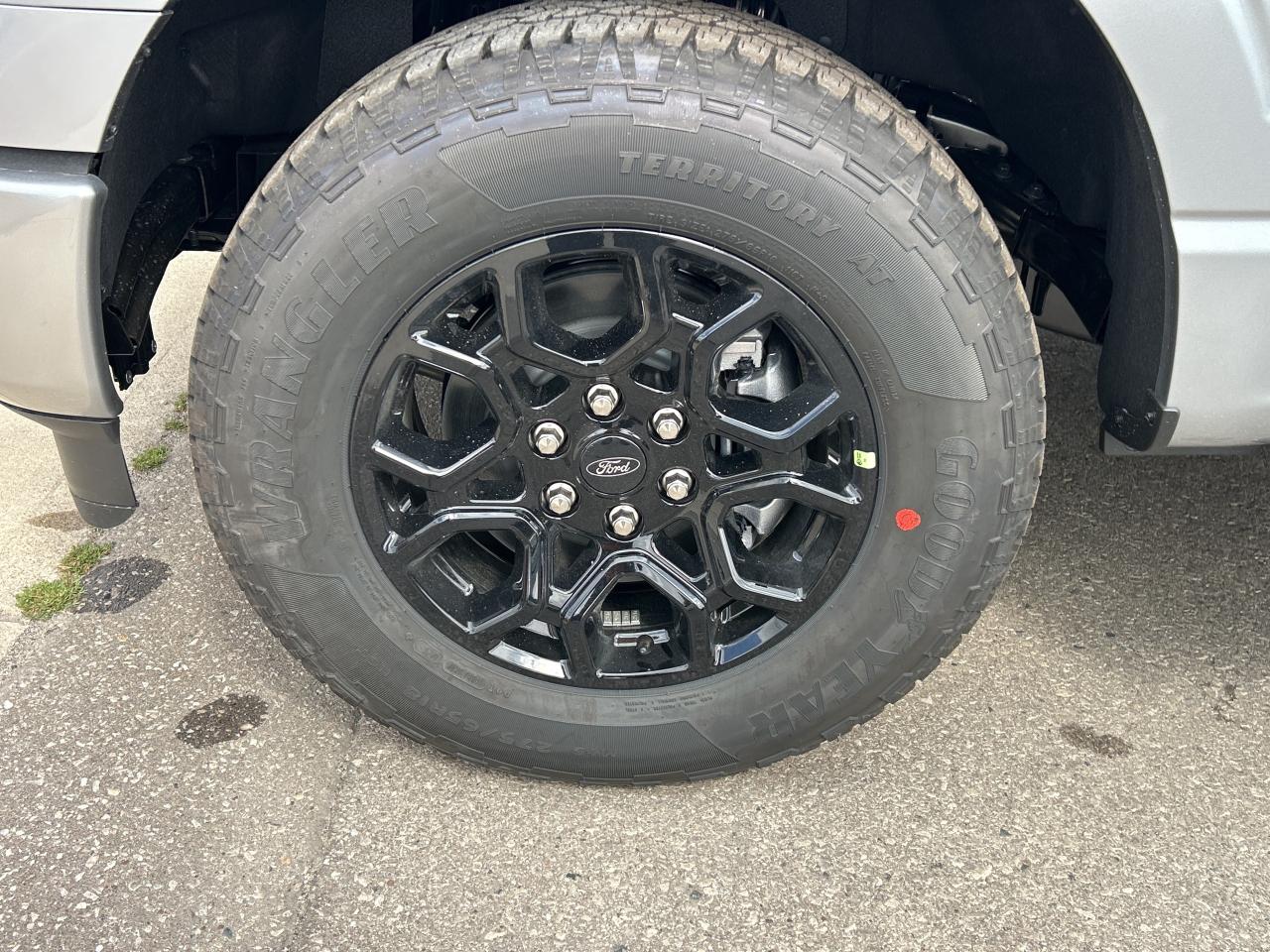 2025 Ford F-150 XLT Photo