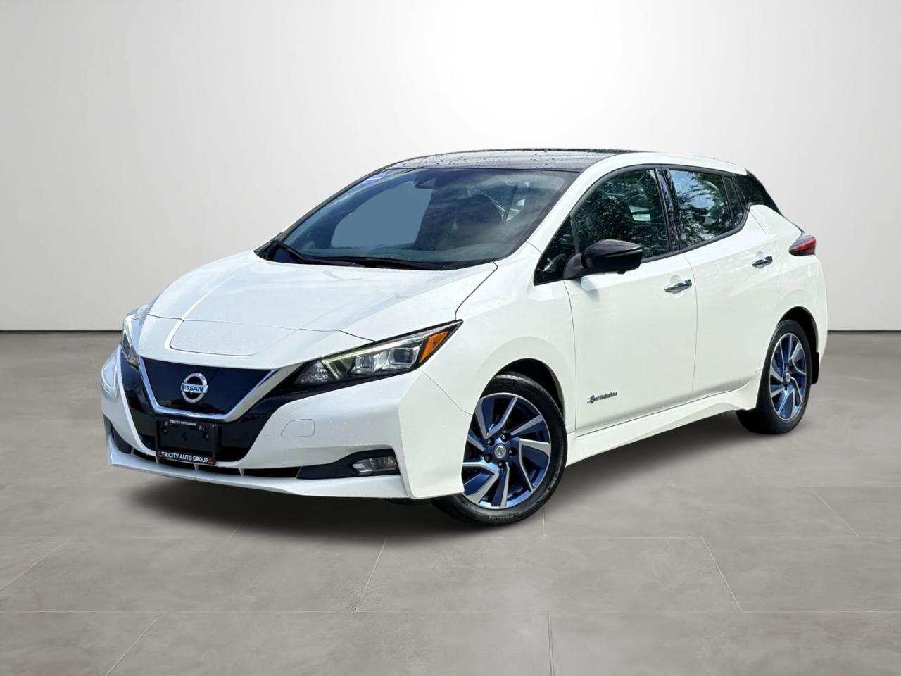 Used 2019 Nissan Leaf SL - Leather, Navigation, 360 Camera, Heated Seats for sale in Coquitlam, BC