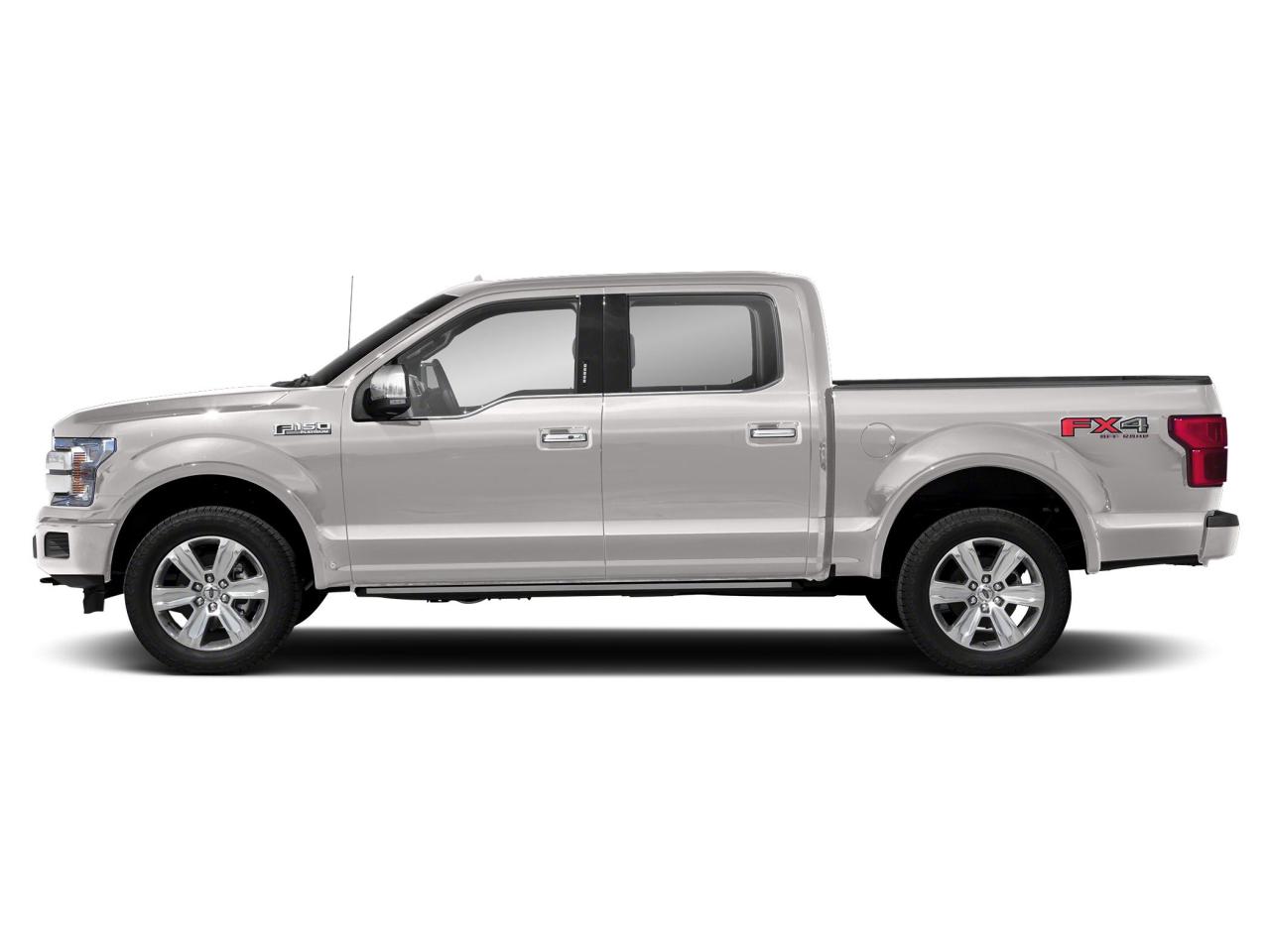 2019 Ford F-150 4X4 PLATINUM-157 Photo5