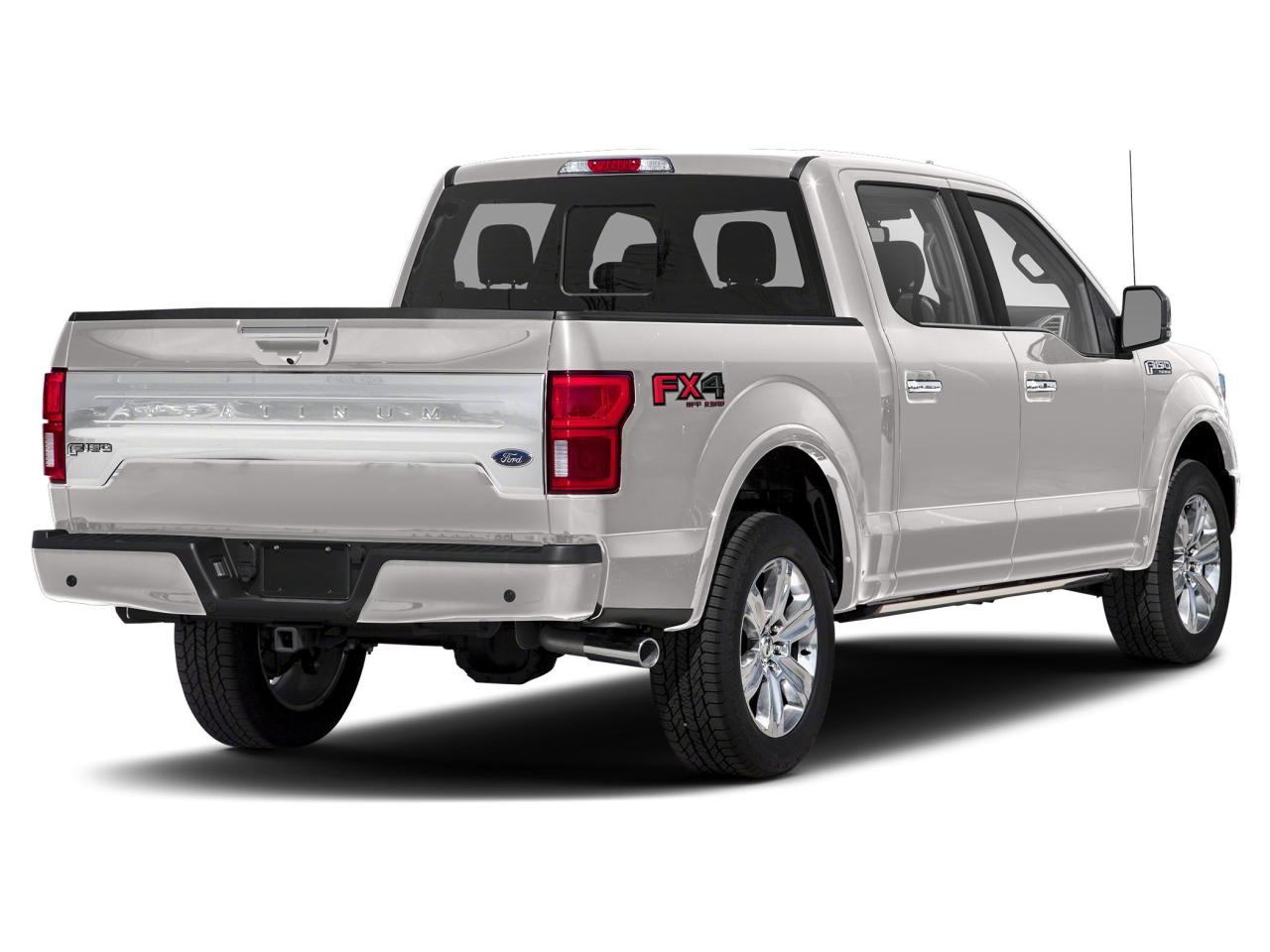 2019 Ford F-150 4X4 PLATINUM-157 Photo1