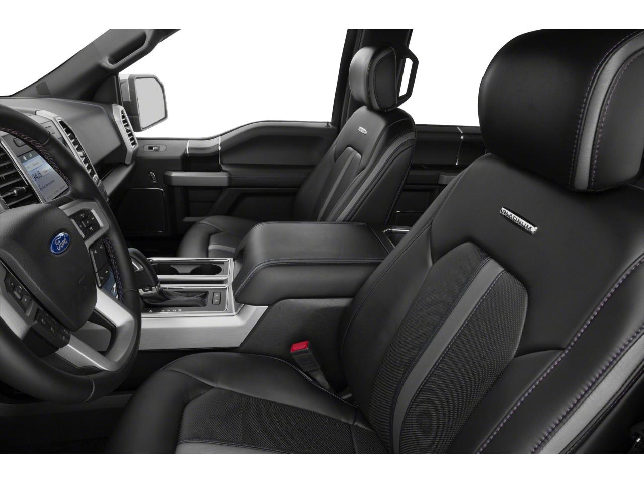 2019 Ford F-150 4X4 PLATINUM-157 Photo5