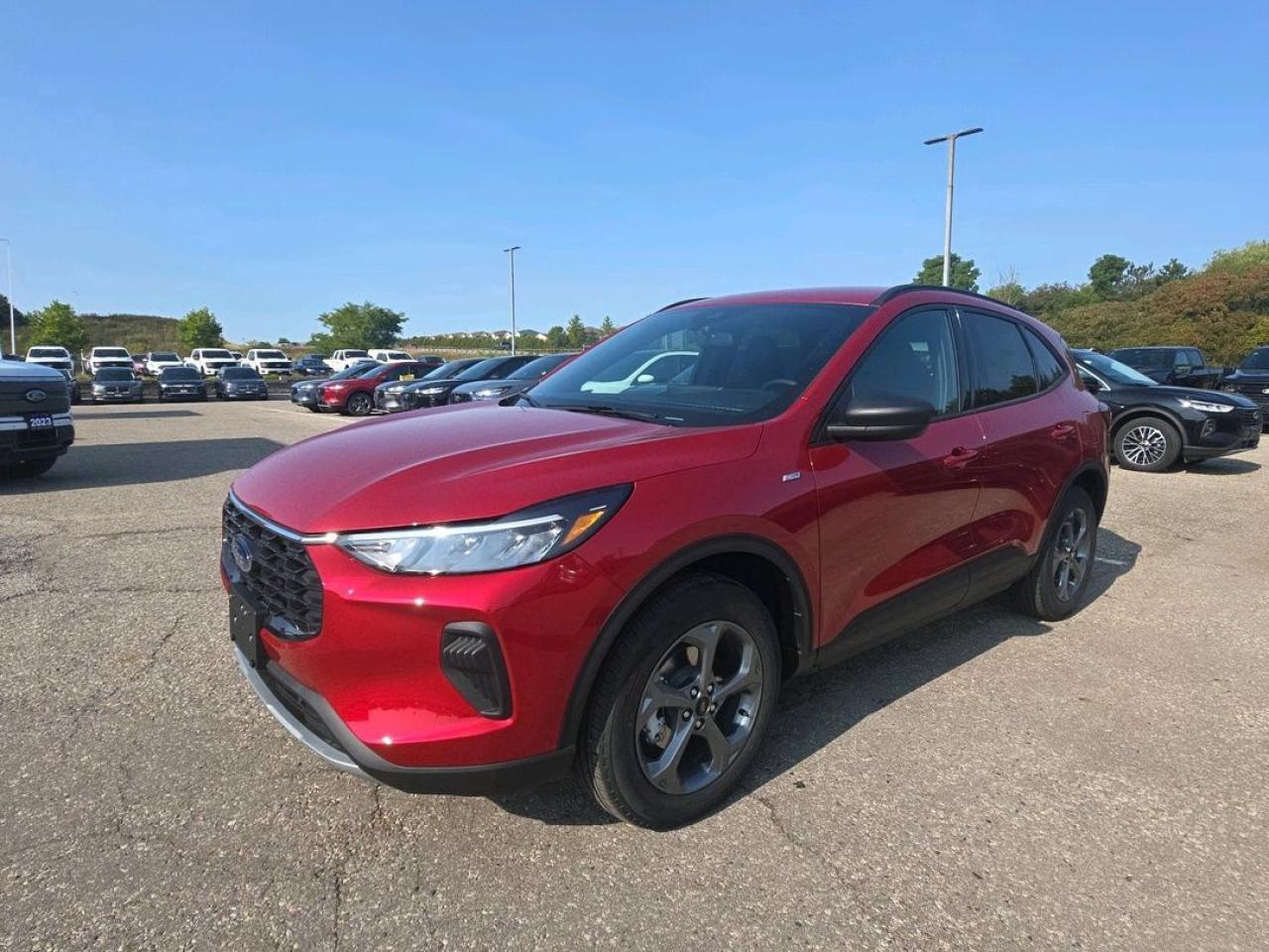 2025 Ford Escape ST-Line Photo0