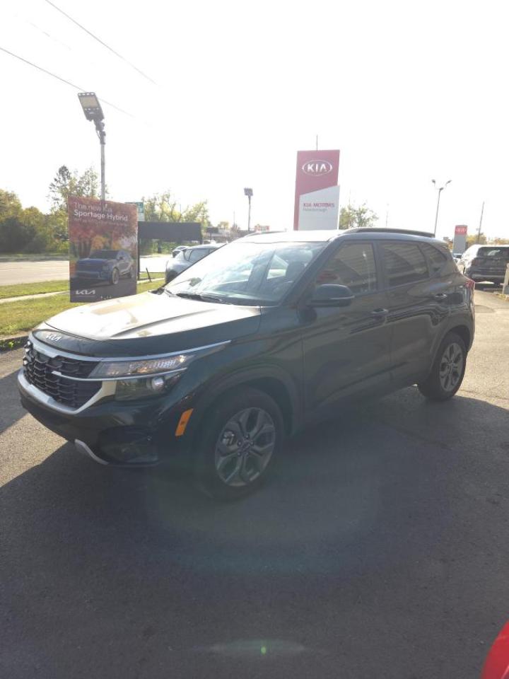 2025 Kia Seltos LX FWD Photo