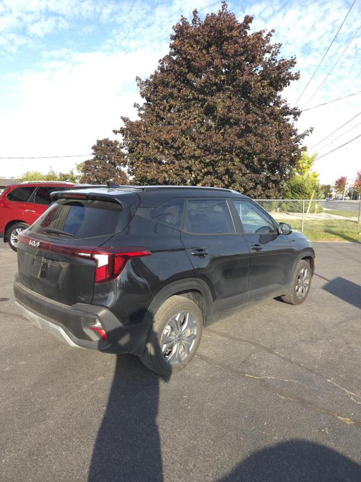 2025 Kia Seltos LX FWD Photo