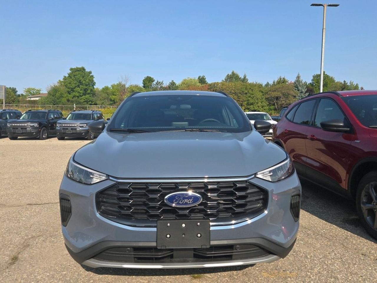 2025 Ford Escape ST-Line Photo