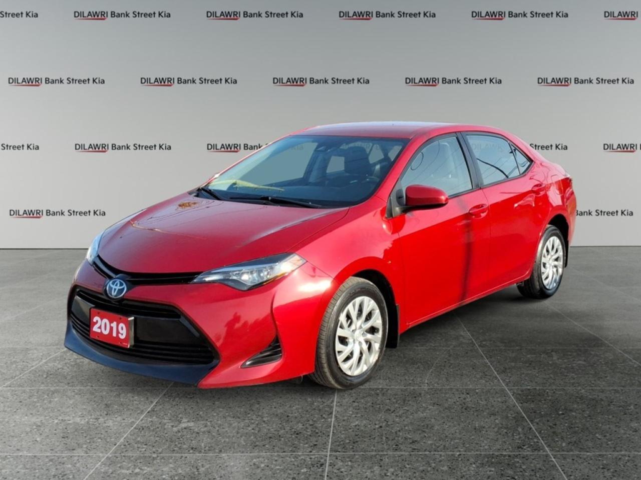 Used 2019 Toyota Corolla LE CVT for sale in Gloucester, ON