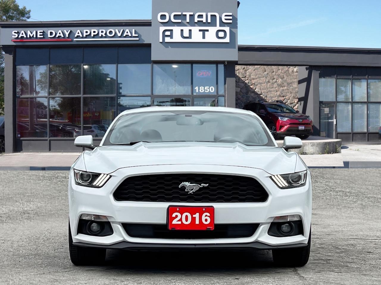 2016 Ford Mustang 2DR FASTBACK V6 Photo