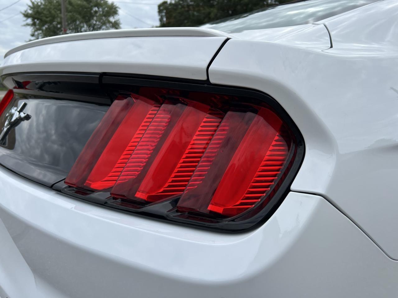 2016 Ford Mustang 2DR FASTBACK V6 Photo