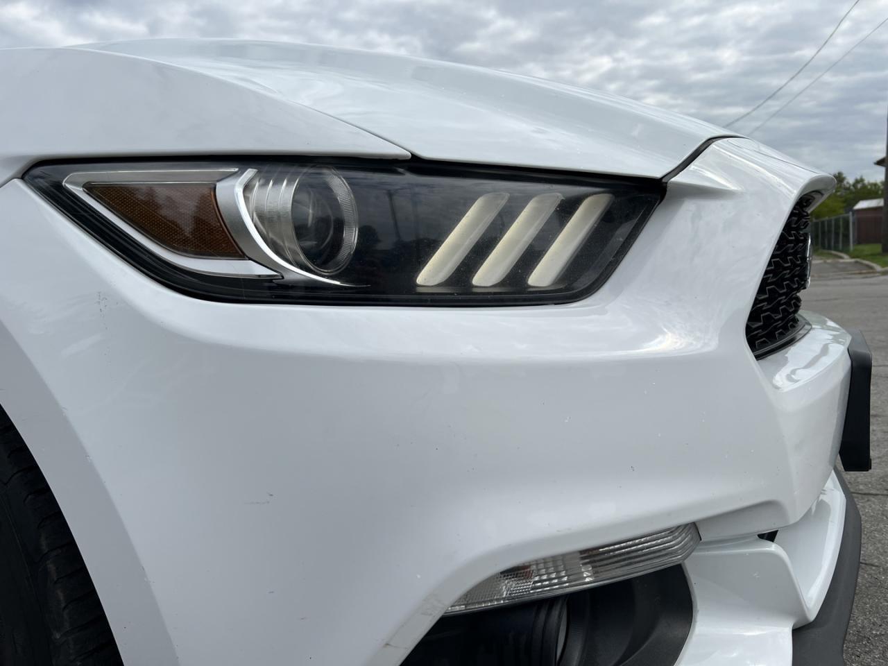 2016 Ford Mustang 2DR FASTBACK V6 Photo