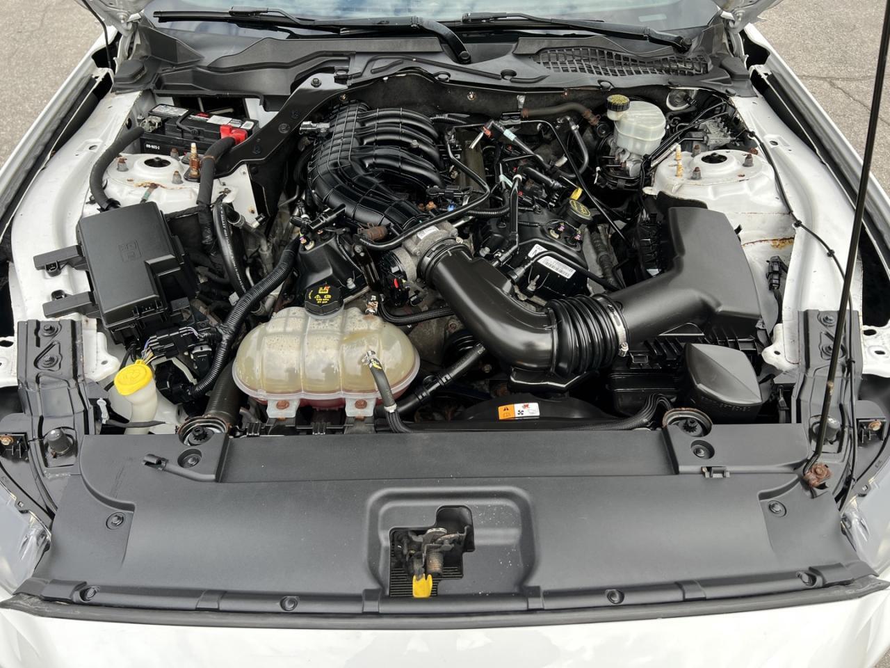 2016 Ford Mustang 2DR FASTBACK V6 Photo