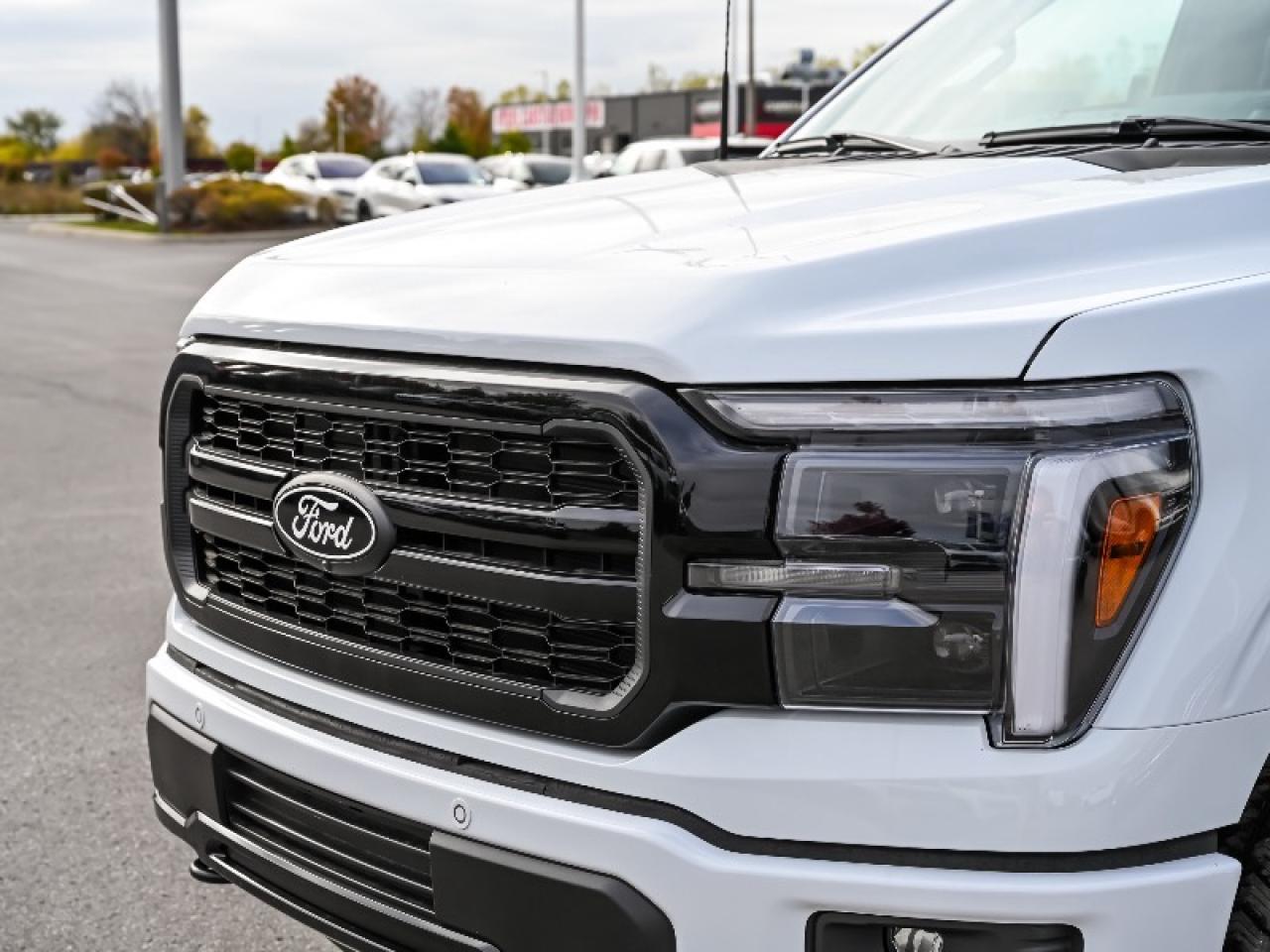 2025 Ford F-150 Lariat Photo