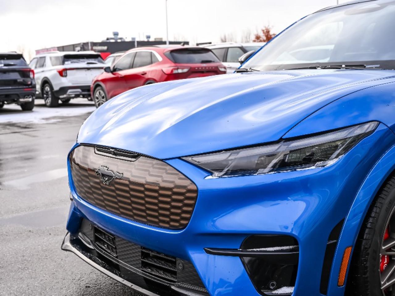 2025 Ford Mustang Mach-E GT Photo