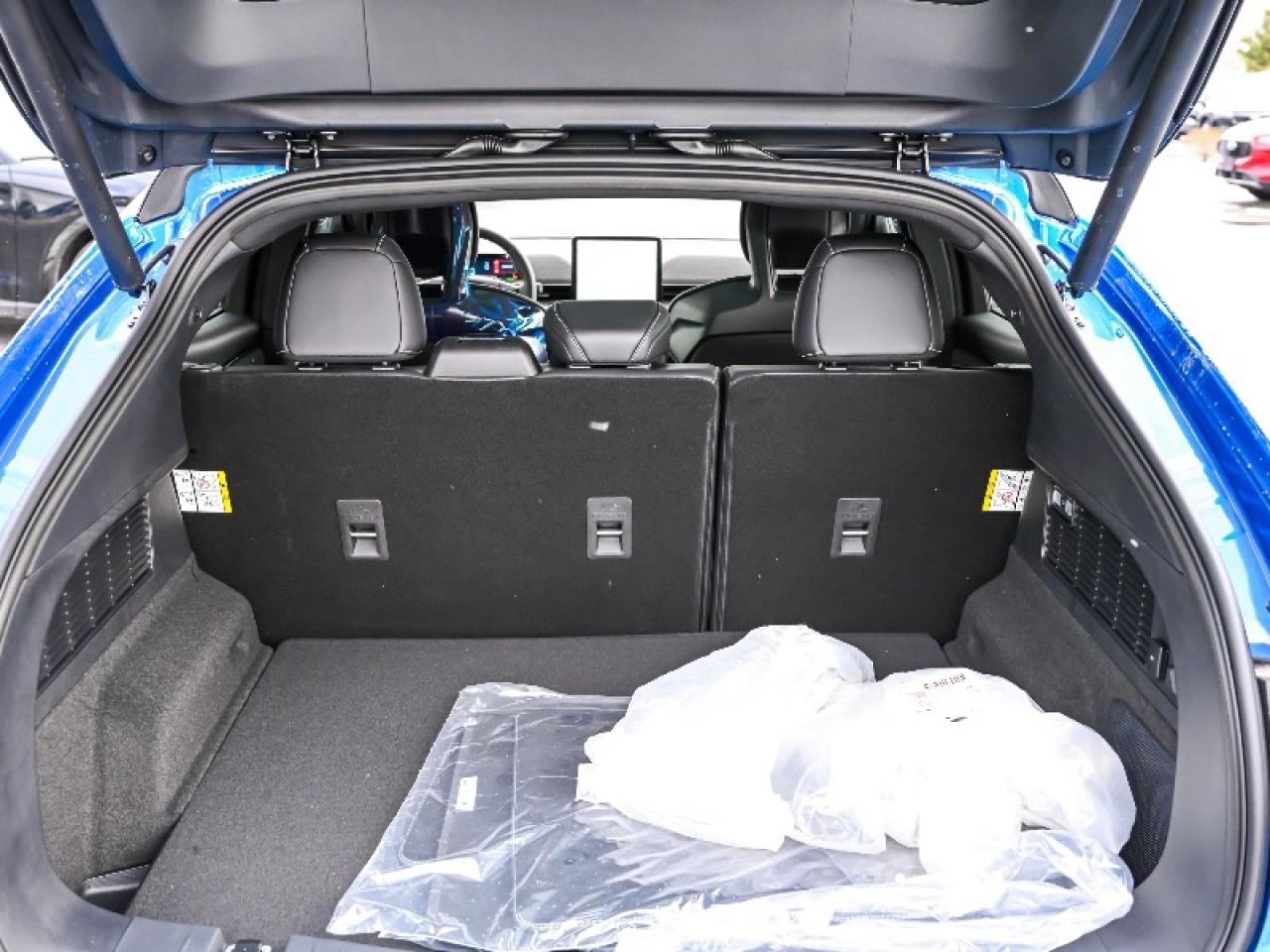 2025 Ford Mustang Mach-E GT Photo