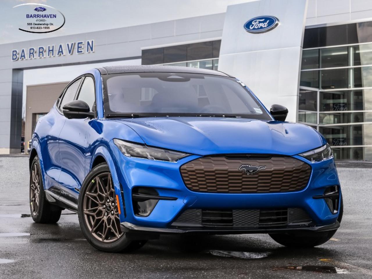 2025 Ford Mustang Mach-E GT Photo