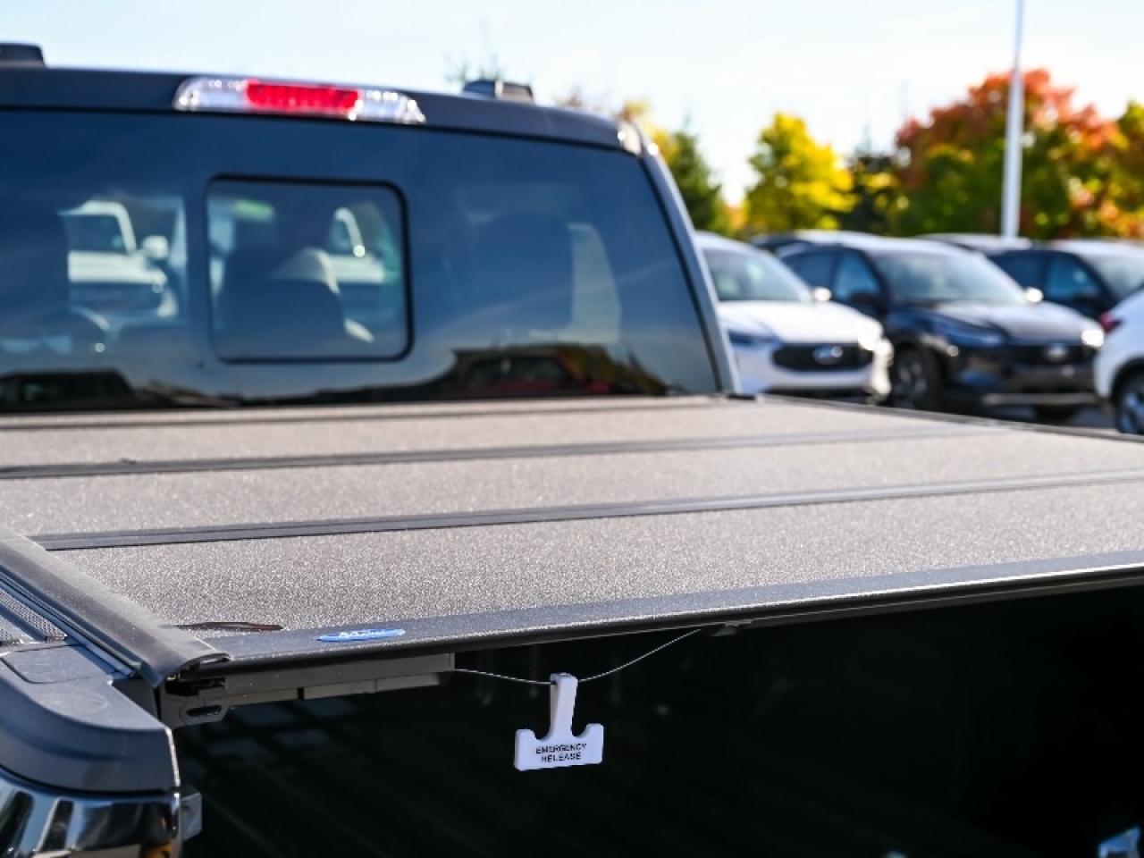 2025 Ford F-150 Lariat Photo