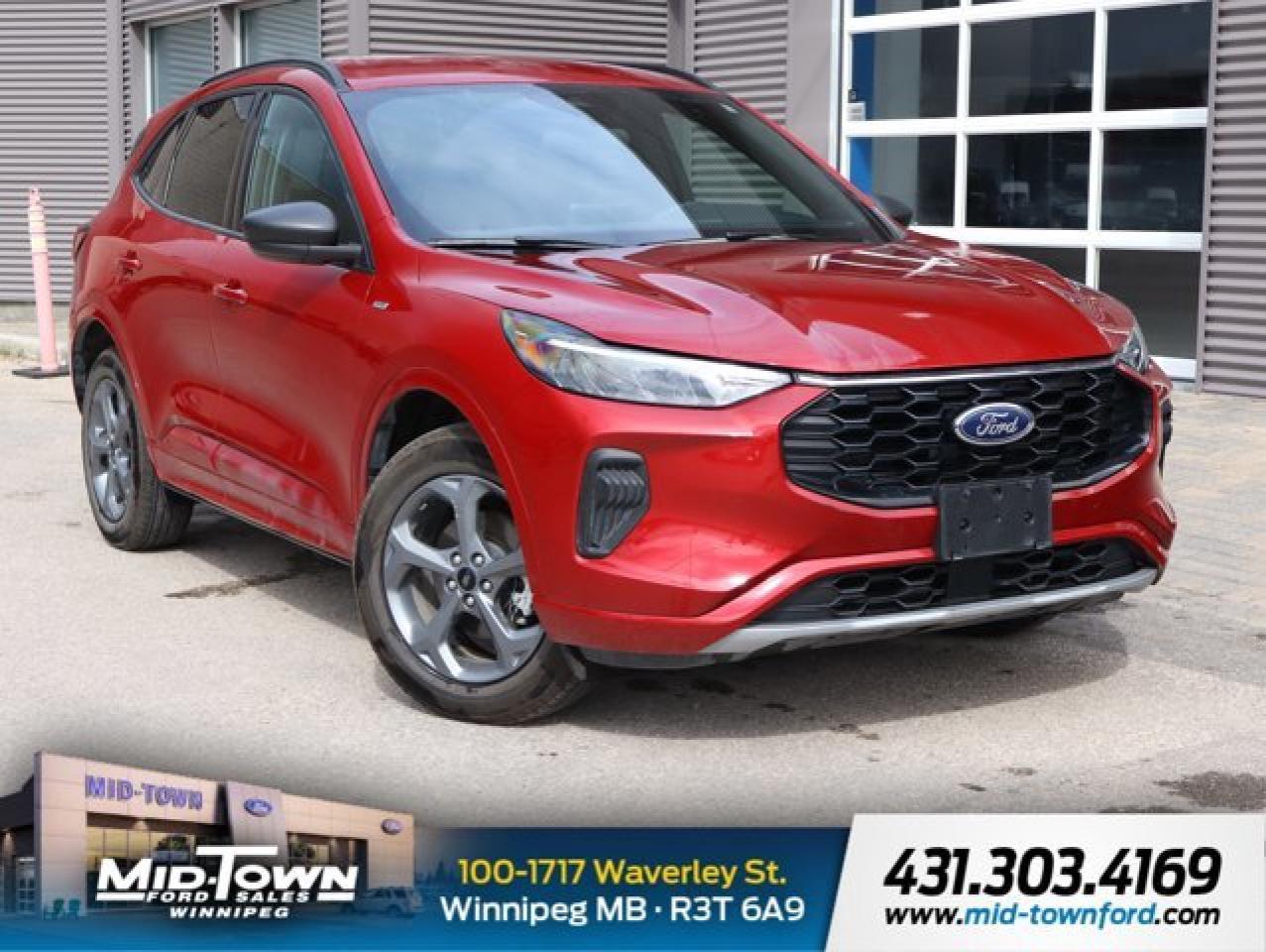 Used 2024 Ford Escape ST-Line for sale in Winnipeg, MB