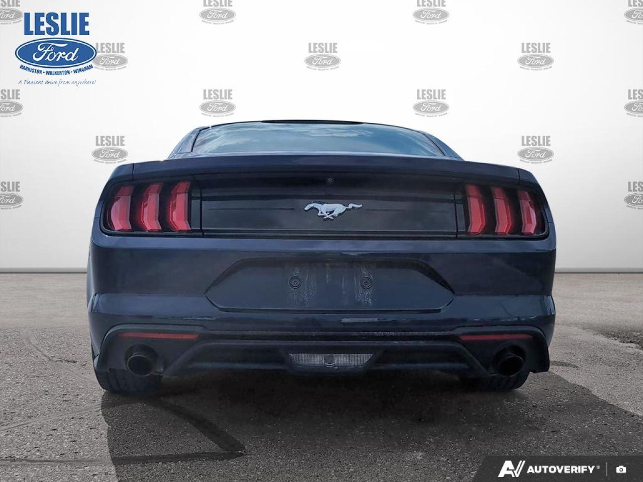 2018 Ford Mustang EcoBoost Fastback Photo
