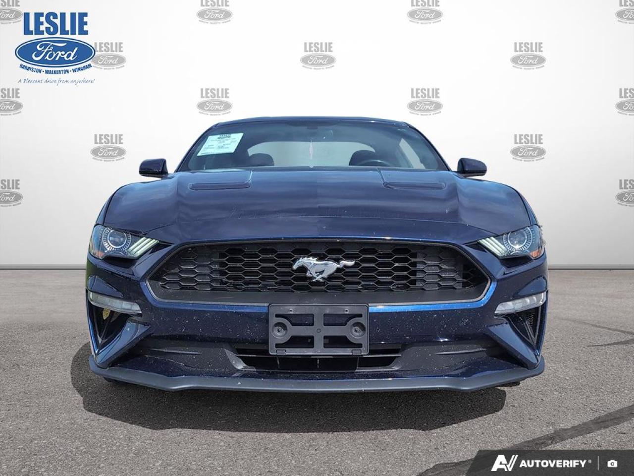 2018 Ford Mustang EcoBoost Fastback Photo