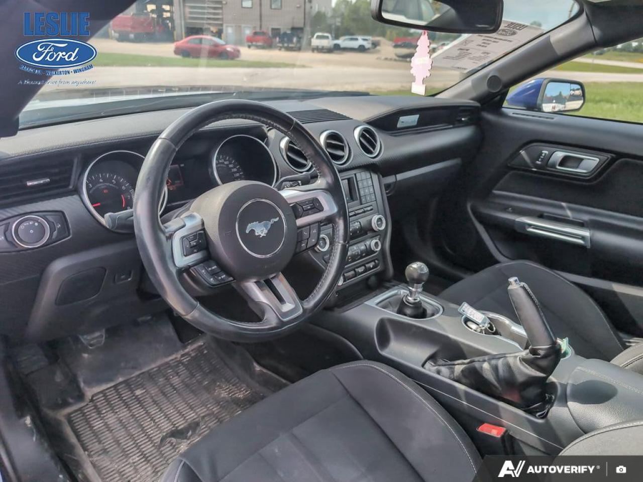 2018 Ford Mustang EcoBoost Fastback Photo