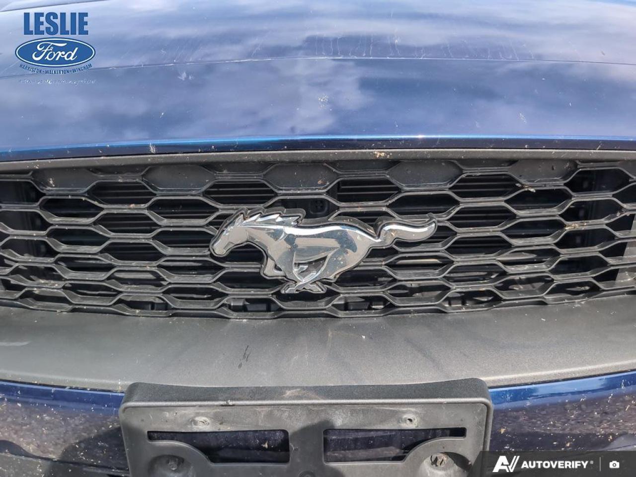 2018 Ford Mustang EcoBoost Fastback Photo