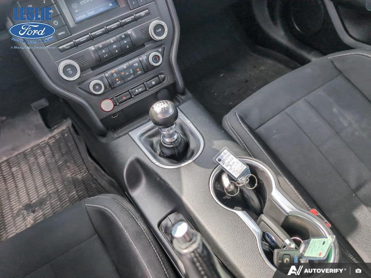 2018 Ford Mustang EcoBoost Fastback Photo