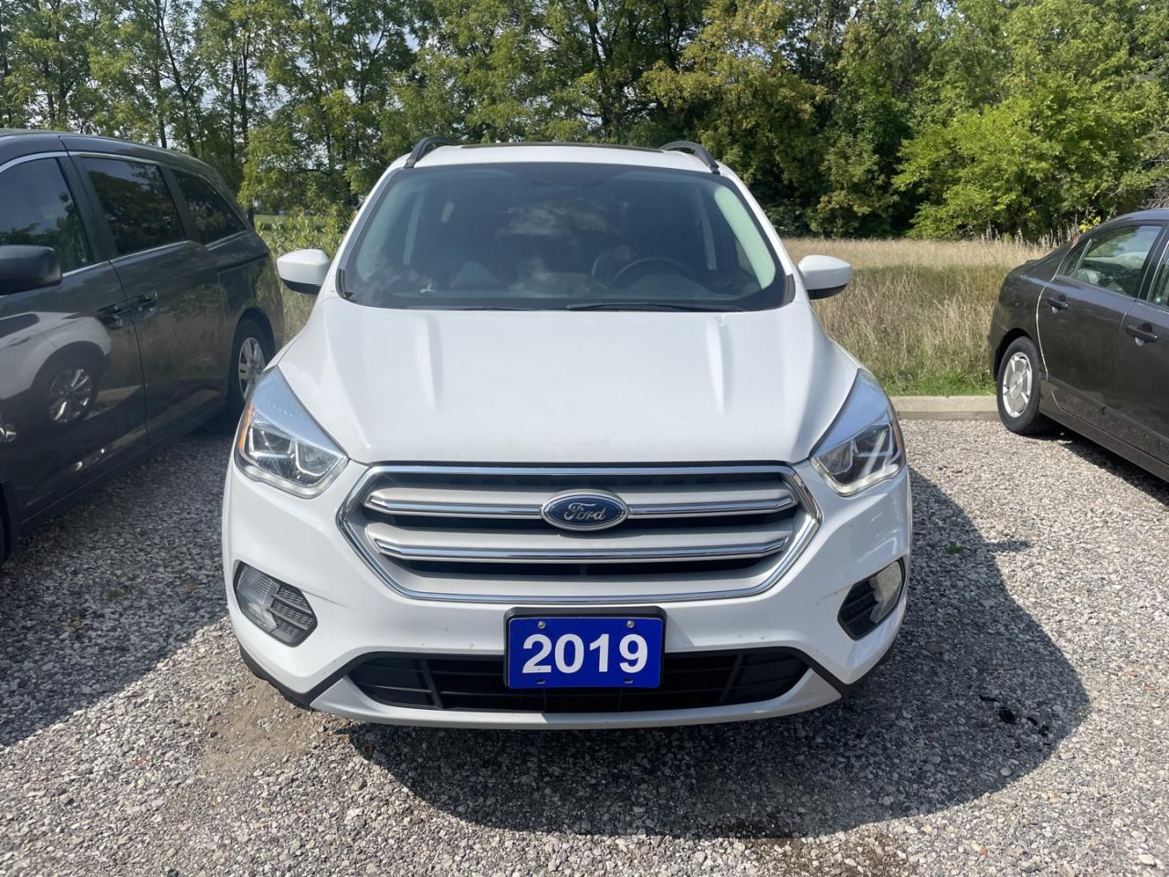 2019 Ford Escape SEL 4WD *leather/sunroof/remote start - Photo #2