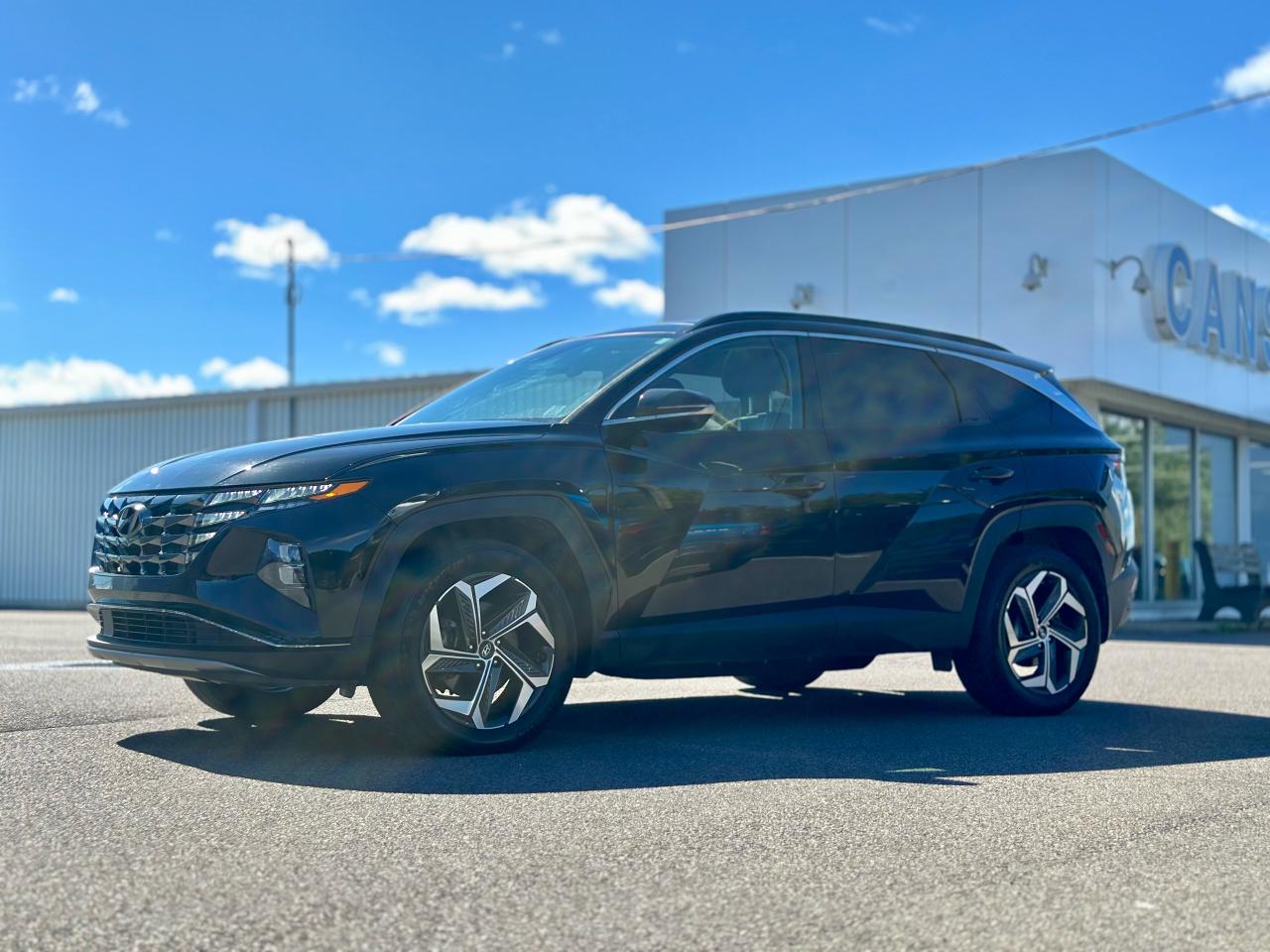 2023 Hyundai Tucson ULTIMATE PLUG IN AWD Photo5