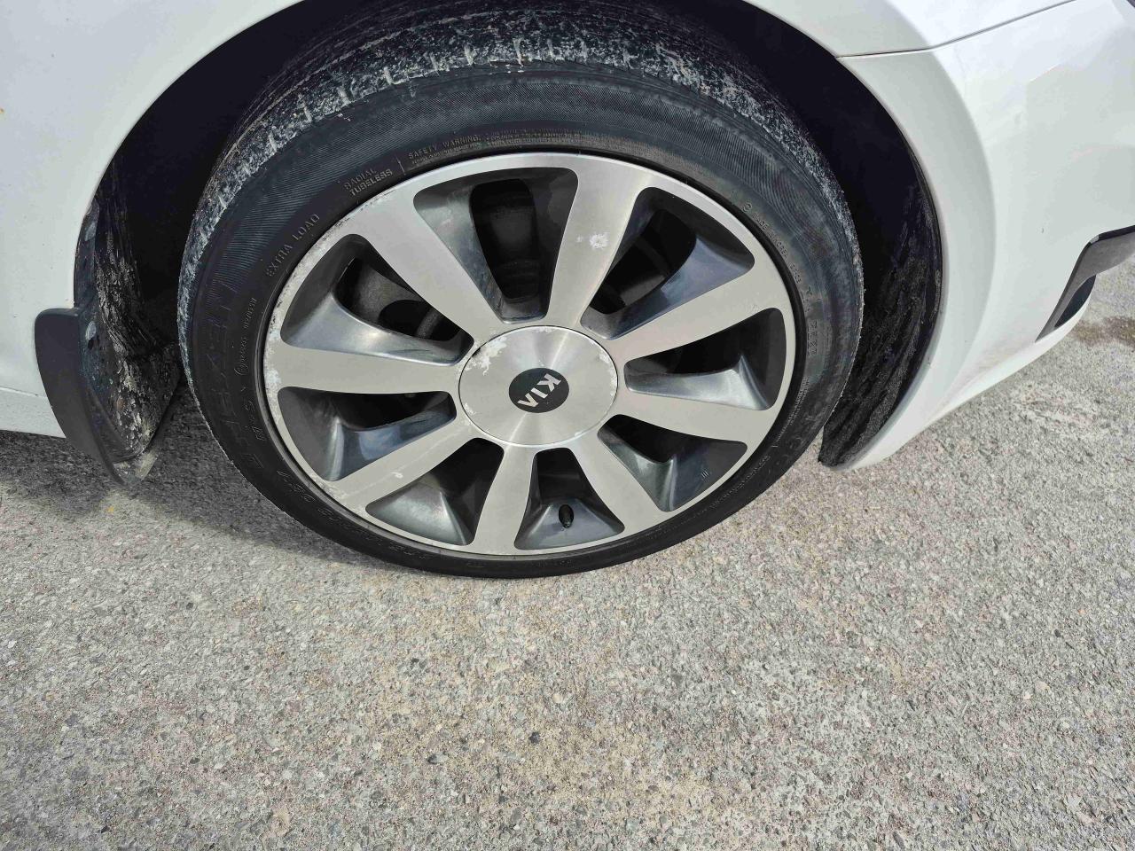 12947846
