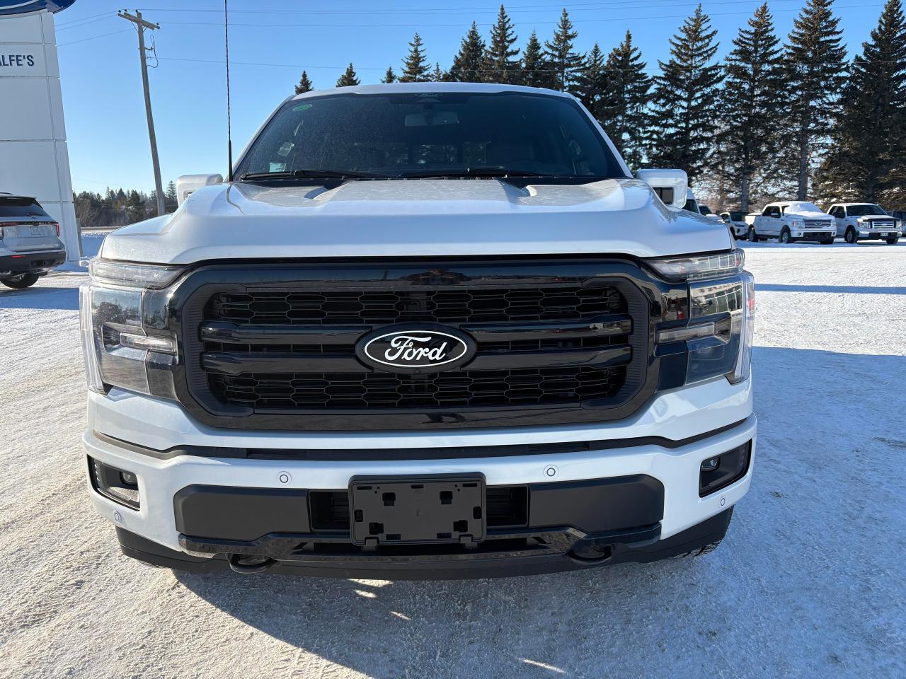 2025 Ford F-150 Lariat 4WD SuperCrew 5.5' Box Photo2