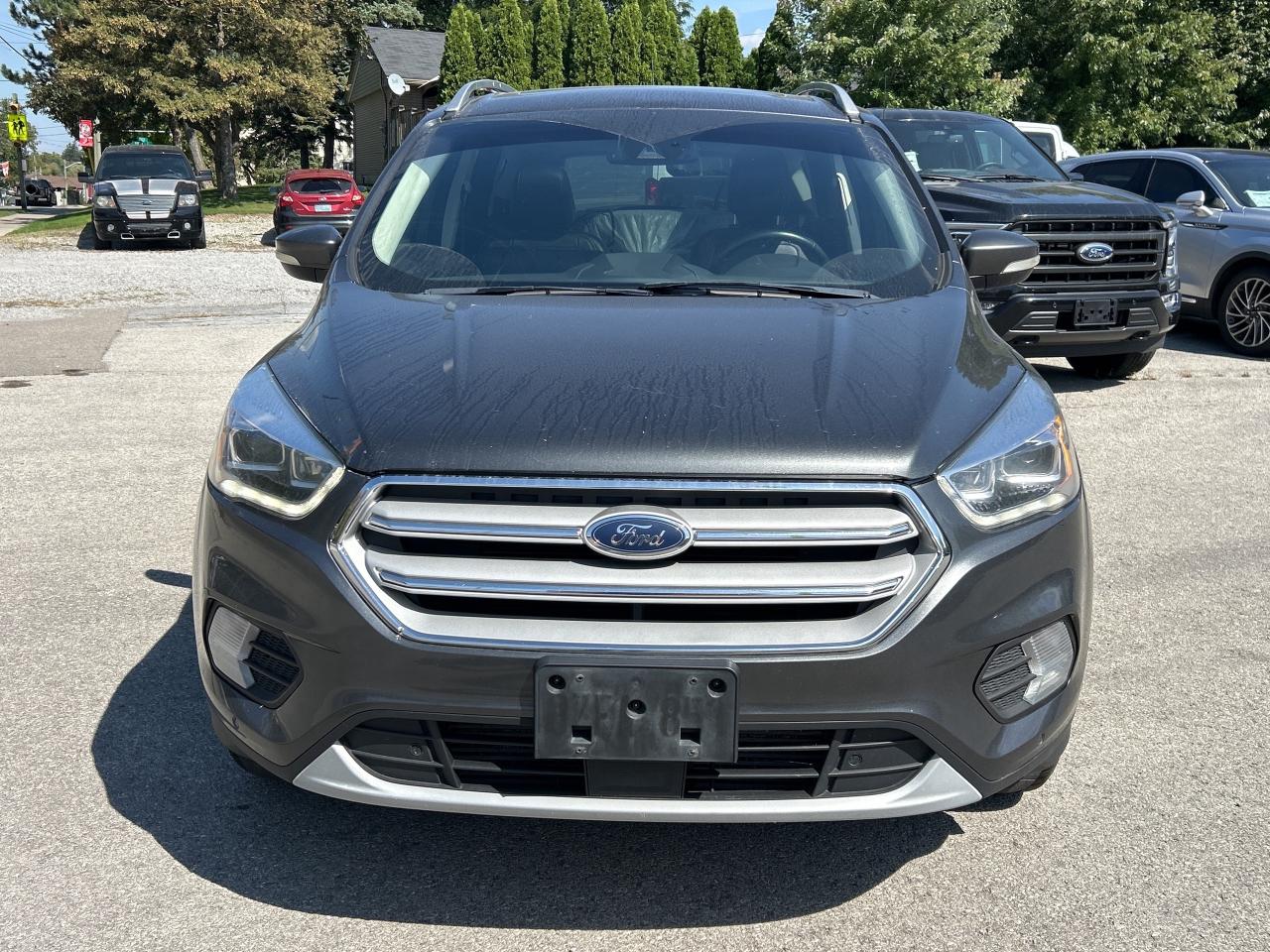 2019 Ford Escape Titanium 4WD Photo