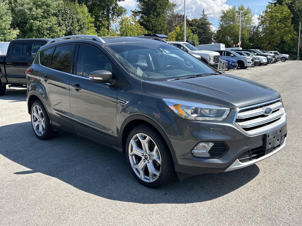 2019 Ford Escape Titanium 4WD Photo