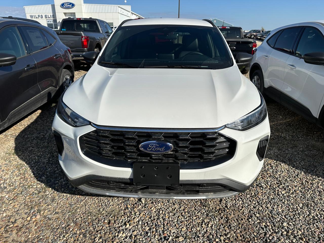 2025 Ford Escape ST-LINE AWD 300A Photo5