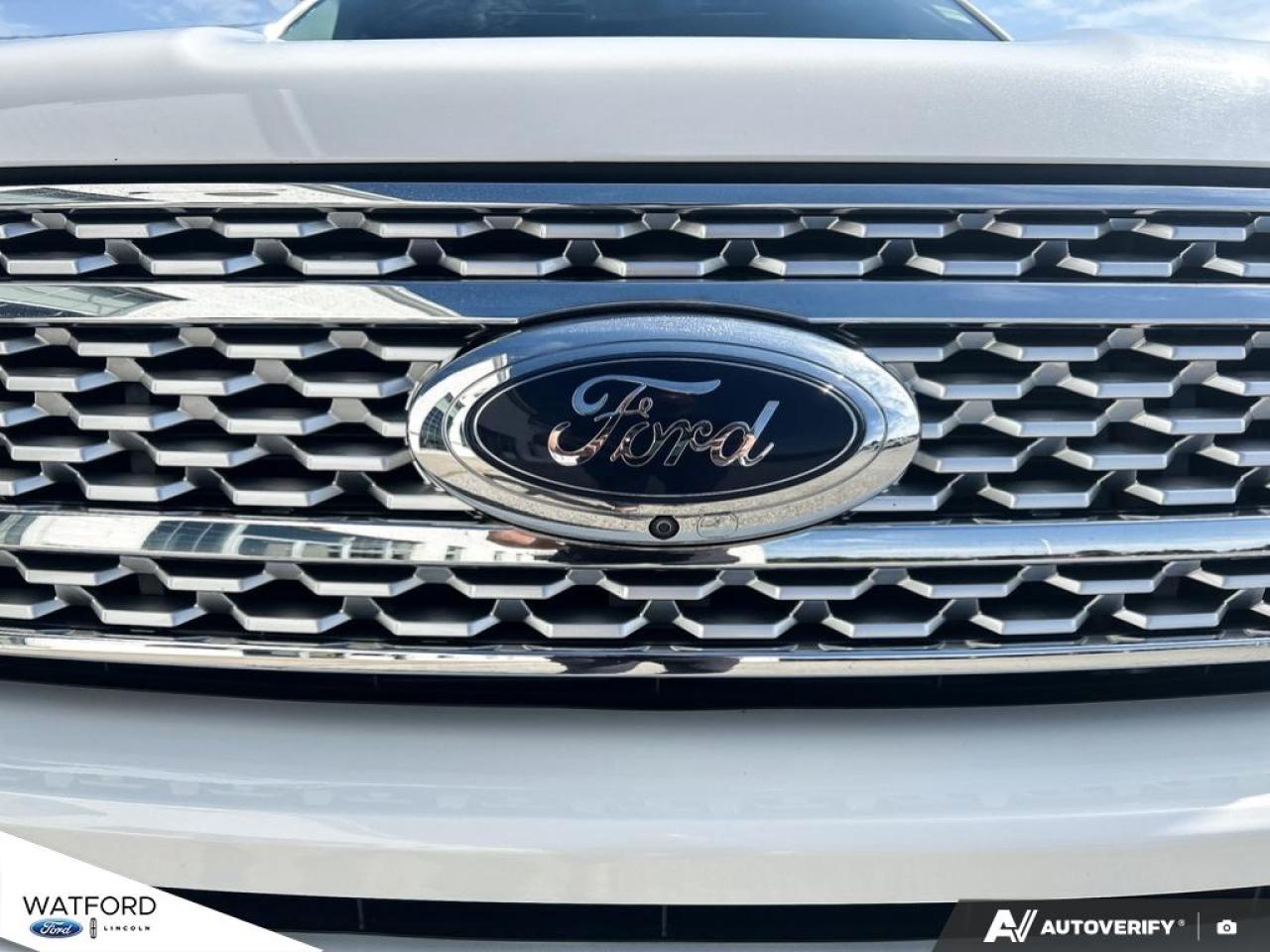 2021 Ford Expedition Platinum 4x4 Photo