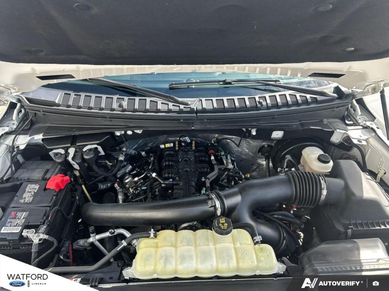 2021 Ford Expedition Platinum 4x4 Photo