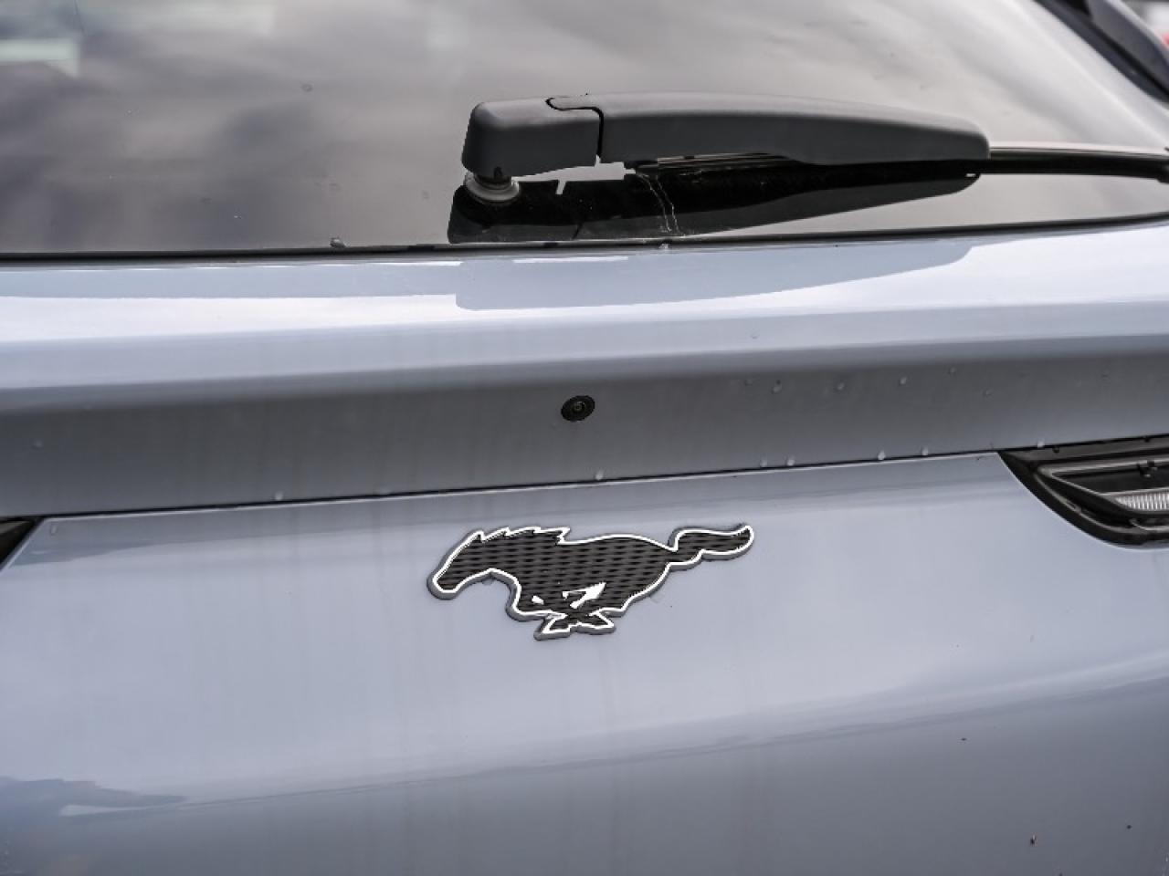 2025 Ford Mustang Mach-E Premium Photo