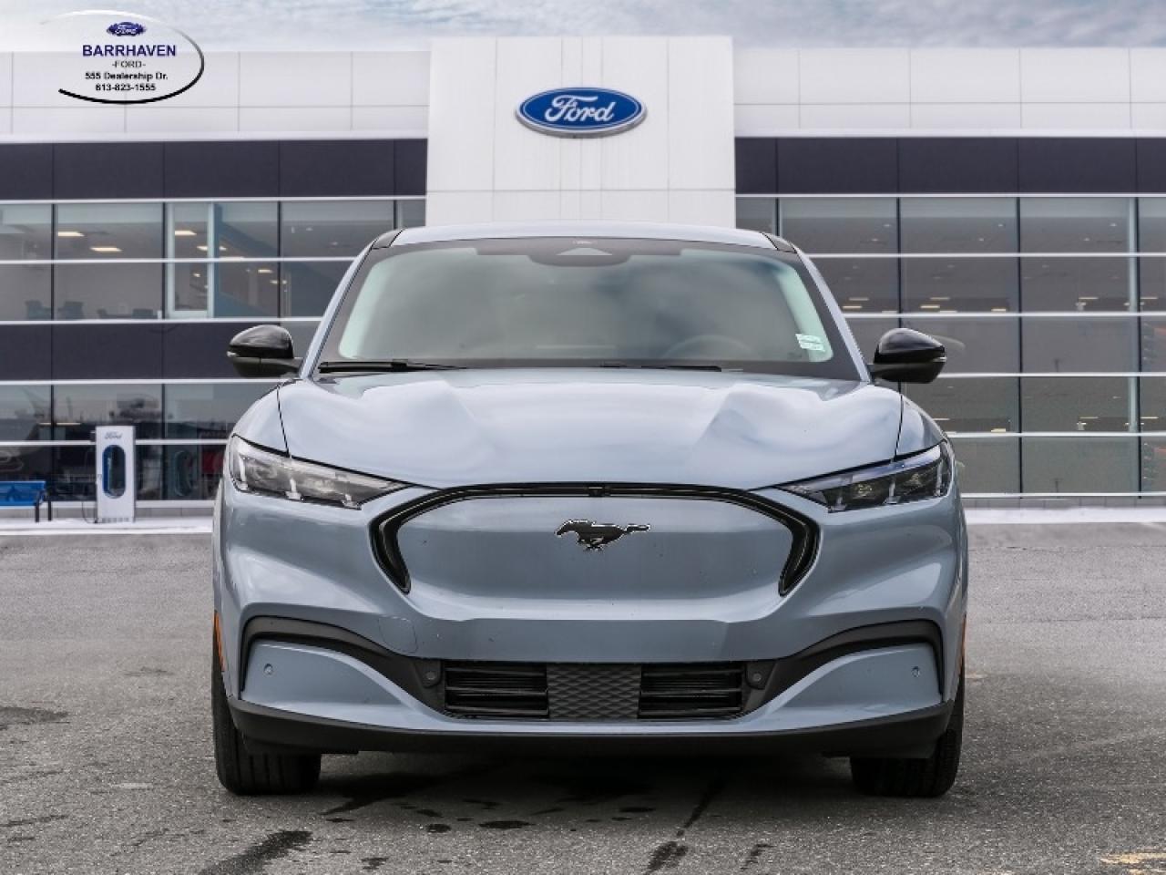 2025 Ford Mustang Mach-E Premium Photo