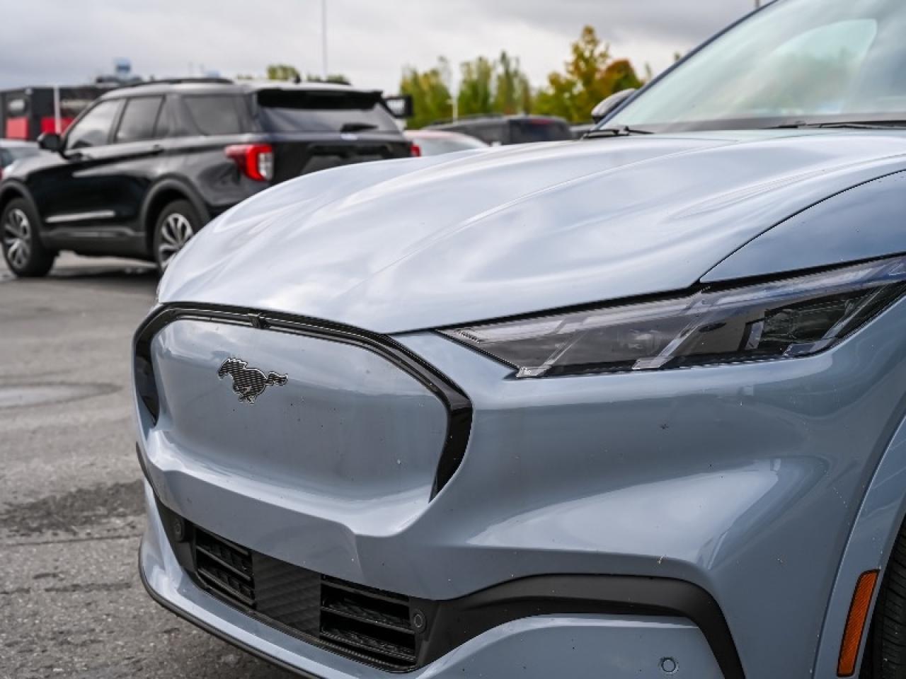 2025 Ford Mustang Mach-E Premium Photo