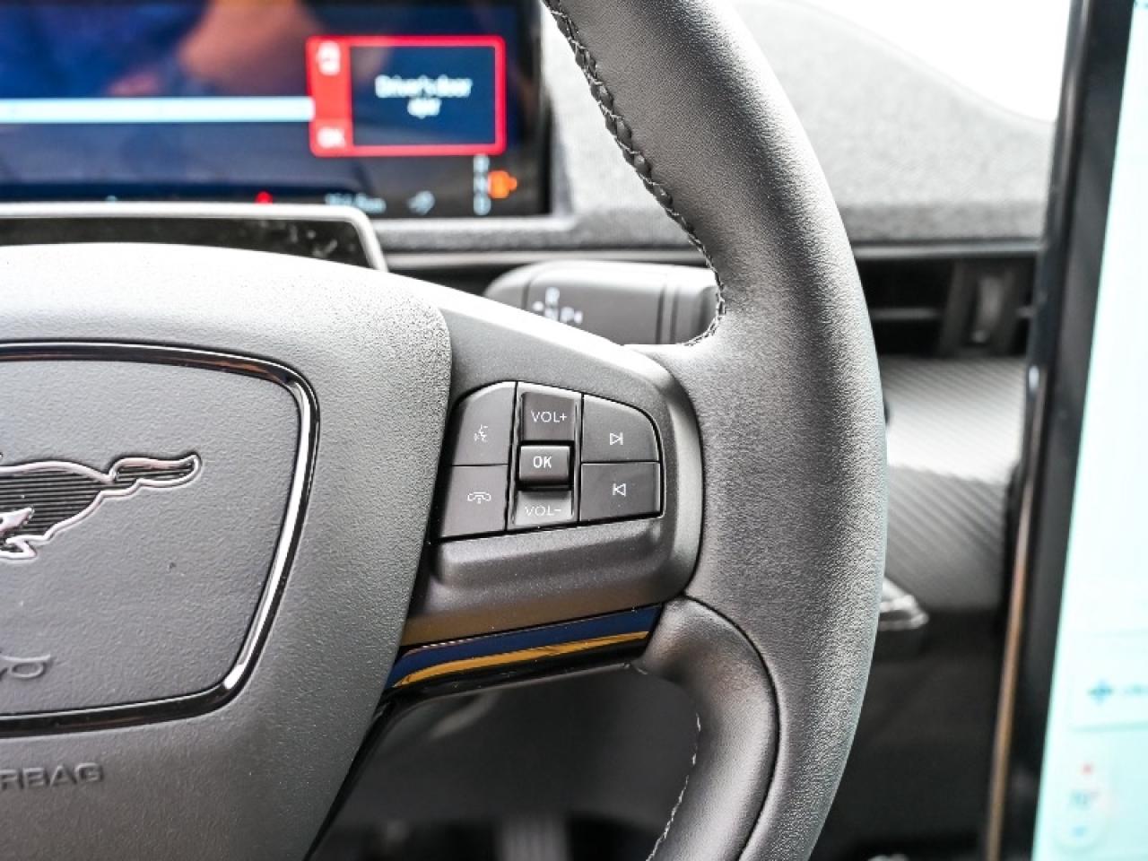 2025 Ford Mustang Mach-E Premium Photo