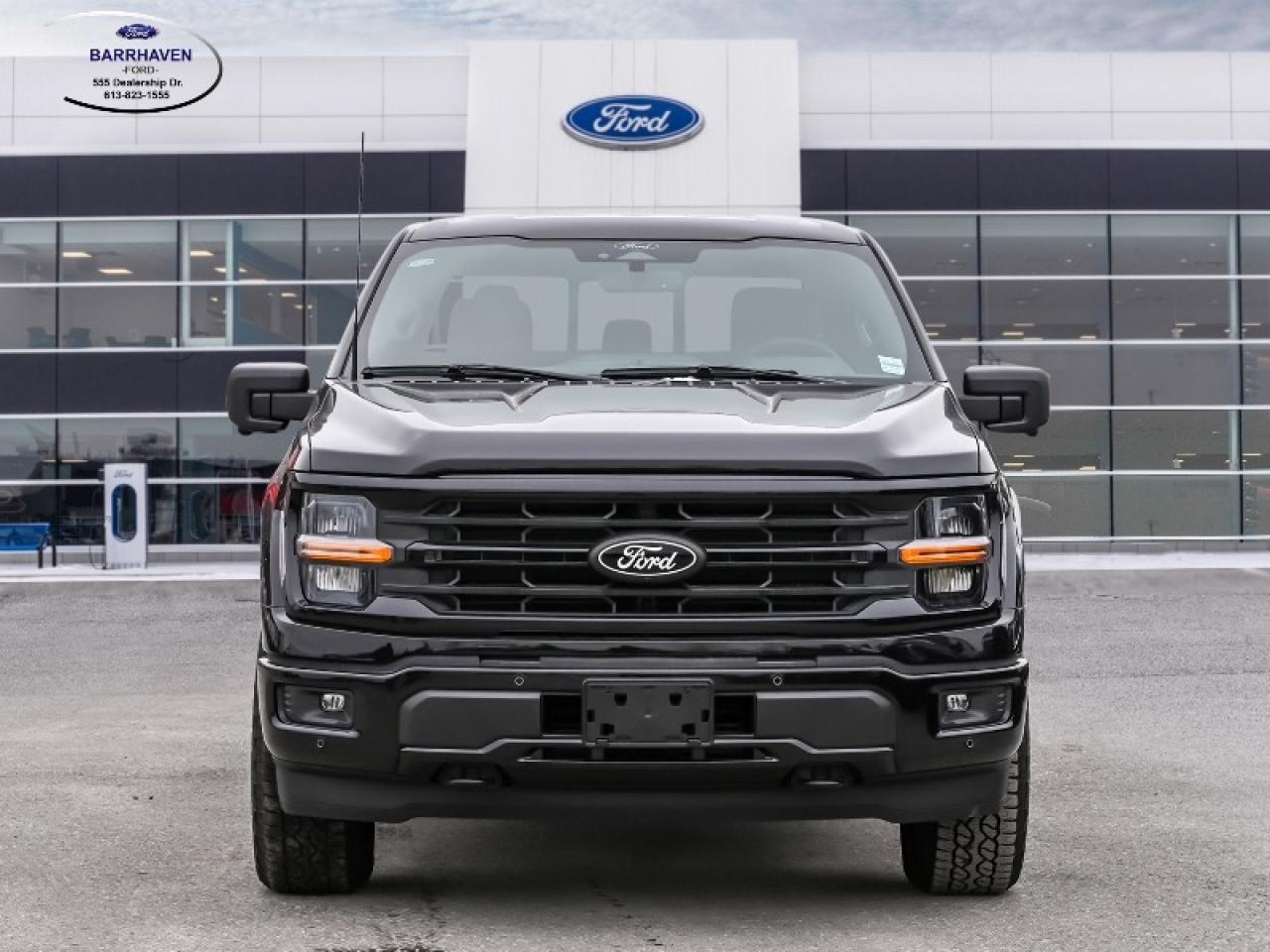 2025 Ford F-150 XLT Photo