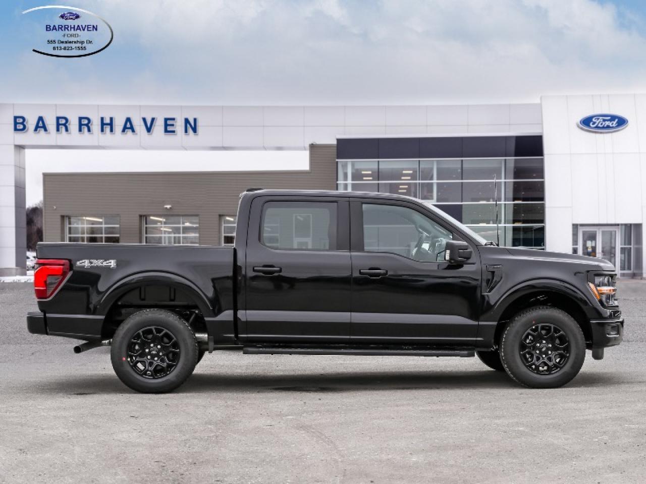 2025 Ford F-150 XLT Photo