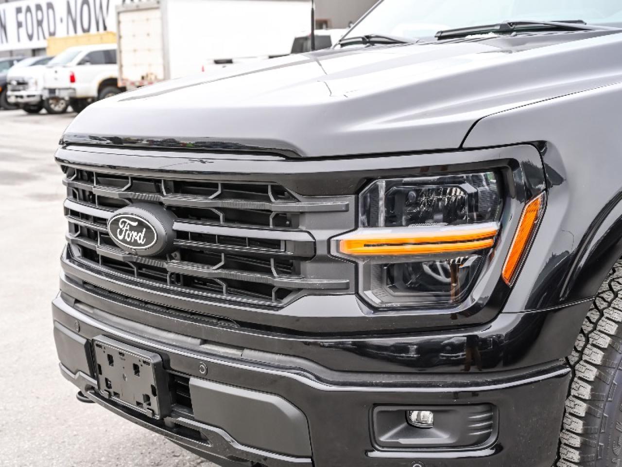 2025 Ford F-150 XLT Photo